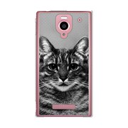 PictureCollectionsTHECAT-B 302SH-YCM2P0741-78