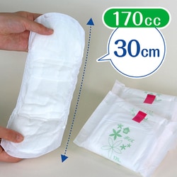 新品　ポイズ 肌ケアパッド 170cc 30cm 24枚入 17個 まとめ売り ポイズ 肌ケアパッド 超スリム＆コンパクト 長時間・夜も安心用