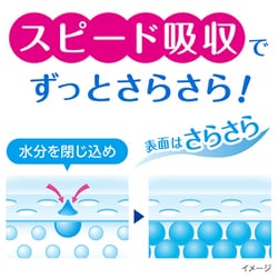 ヨドバシ.com - ポイズ ポイズ 肌ケアパッド 安心の中量用(ライト)80cc