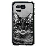 107SH-YCM2P0741-78 [SoftBank 107SH PANTONE 5用 カバー PictureCollectionsTHECAT-B]