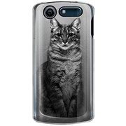 SoftBank 101N MEDIAS CH用 カバー PictureCollectionsTHECAT-A 101N-YCM2P0740-78