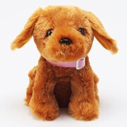 おかえワンちゃん パピー トイプードル