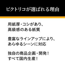 ヨドバシ.com - ピクトリコ PICTORICO ピクトリコプロ ソフト
