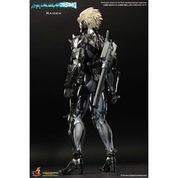 ヨドバシ.com - ホットトイズ HOT TOYS 雷電 [ビデオゲーム 