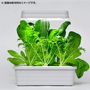 YLP-28JP [LEDプランター お部屋畑（液体肥料ハイポネックス付）]