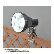 LED 4Wクリップライト LC-4