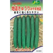 KS300シリーズ（野菜） No.204 地這きゅうり みやま地這