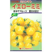 KS300シリーズ（野菜） No.208 ミニトマト イエローミミ