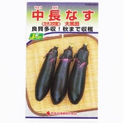 KS300シリーズ（野菜） No.209 中長なす 大黒田