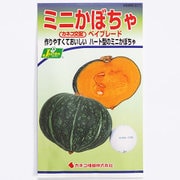 KS300シリーズ（野菜） No.217 ミニかぼちゃ ベイブレード