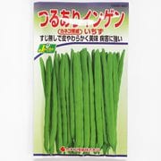 KS300シリーズ（野菜） No.223 つるありインゲン いちず