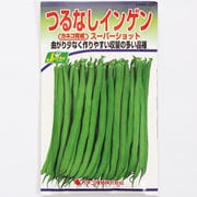 KS300シリーズ（野菜） No.225 つるなしインゲン スーパーショット