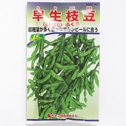 KS300シリーズ（野菜） No.227 早生枝豆 ふくら