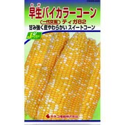 KS300シリーズ [早生バイカラーコーン 野菜300 229]