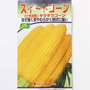 KS300シリーズ（野菜） No.231 キラキラコーン