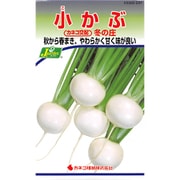 KS300シリーズ（野菜） No.237 小かぶ 冬の庄