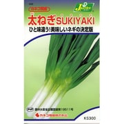 KS300シリーズ（野菜） No.243 太ねぎ SUKIYAKI