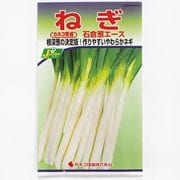 KS300シリーズ（野菜） No.244 ねぎ 石倉葱エース
