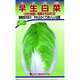 早生白菜 野菜300 256 KS300シリーズ