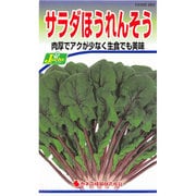 KS300シリーズ（野菜） No.263 サラダほうれんそう