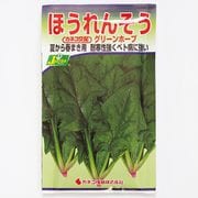 KS300シリーズ（野菜） No.269 ほうれんそう グリーンホープ