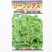 KS300シリーズ（野菜） No.277 リーフレタス グリーンスパン