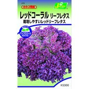 KS300シリーズ [レッドコーラル リーフレタス 野菜300 278]