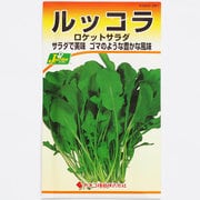 KS200シリーズ（野菜） No.281 ルッコラ ロケットサラダ