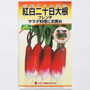 KS200シリーズ（野菜） No.289 紅白二十日大根 フレンチ