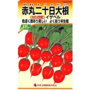 KS200シリーズ（野菜） No.291 赤丸二十日大根 イザベル