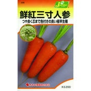 KS200シリーズ [鮮紅三寸人参 野菜200 296]