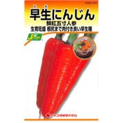 KS200シリーズ（野菜） No.297 早生にんじん 鮮紅五寸人参