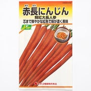 KS200シリーズ（野菜） No.298 赤長にんじん 鮮紅大長人参