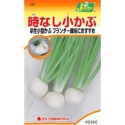 KS200シリーズ（野菜） No.299 時なし小かぶ