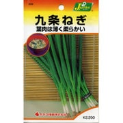 KS200シリーズ（野菜） No.309 九条ねぎ