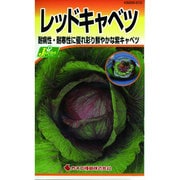 KS200シリーズ [レッドキャベツ 野菜200 310]