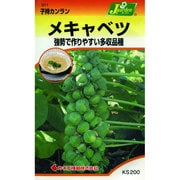 KS200シリーズ [メキャベツ 野菜200 311]