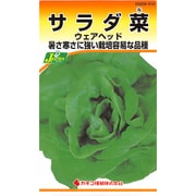 KS200シリーズ（野菜） No.312 サラダ菜 ウェアヘッド