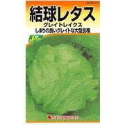 KS200シリーズ（野菜） No.313 結球レタス グレイトレイクス
