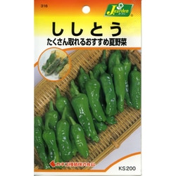 徳之島産キャサバ苗挿木用230本入り Kazuya 取り置き品4/15発送 ヨドバシ.com - カネコ種苗 ジェーガーデン J.garden KS200