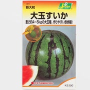 KS200シリーズ（野菜） No.321 大玉すいか 新大和