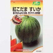 KS200シリーズ（野菜） No.322 紅こだま すいか
