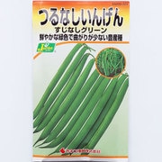 KS200シリーズ(野菜) No.323 つるなしいんげん すじなしグリーン