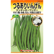 KS200シリーズ（野菜） No.329 つるありいんげん ケンタッキーワンダー