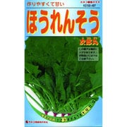 KS100シリーズ（野菜） No.497 ほうれんそう 次郎丸