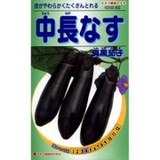 KS100シリーズ（野菜） No.502 中長なす 真黒茄子