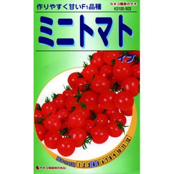 楽天市場】ミニトマト（ 約200g × 12パック ） 山形県産 : まる