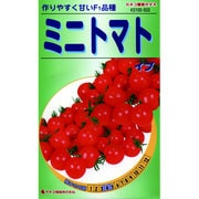 KS100シリーズ [ミニトマト イブ 野菜100 503]