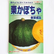 KS100シリーズ（野菜） No.504 栗かぼちゃ 東京南瓜