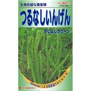 KS100シリーズ(野菜) No.509 つるなしいんげん すじなしグリーン